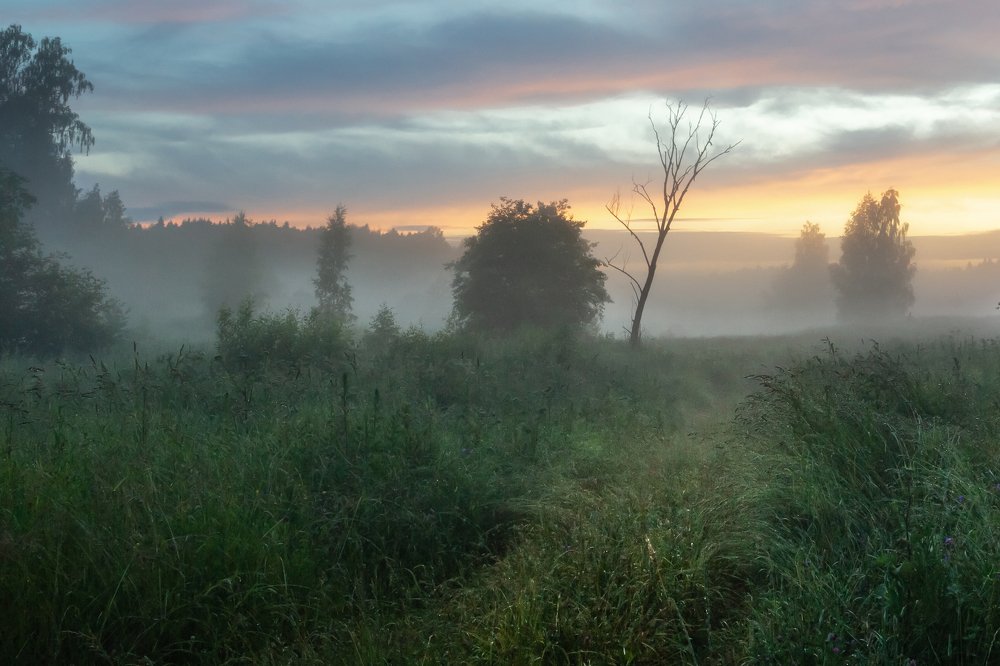 ТУМАН НА РАВНИНЕ