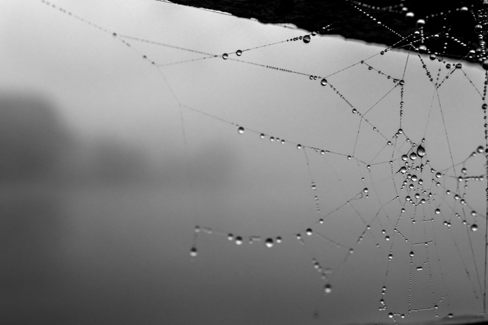 Photograph by Миленькая Наталья