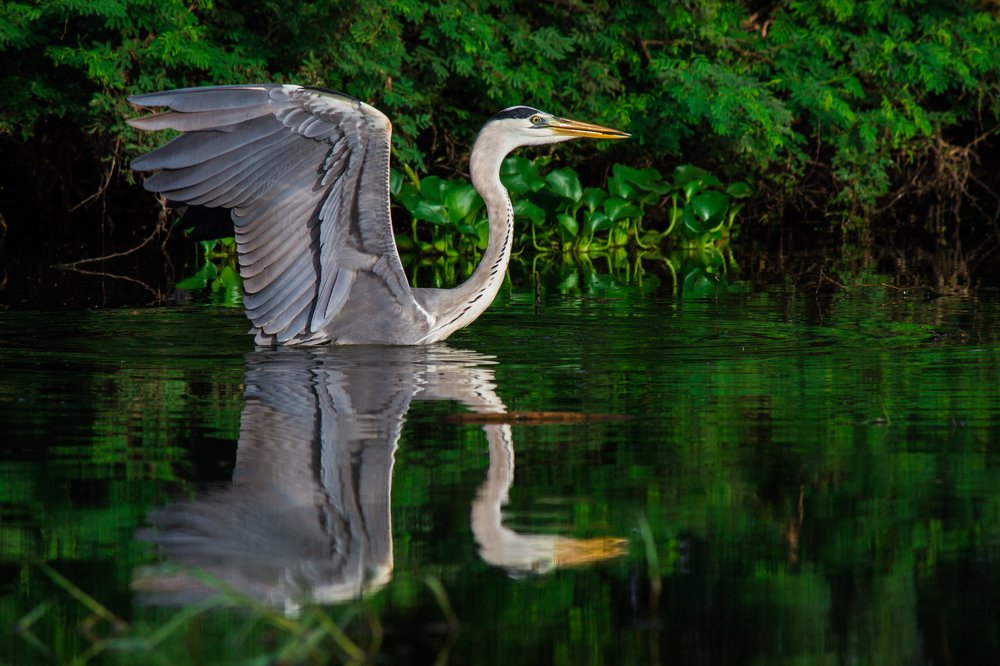 Fly high to know yourself