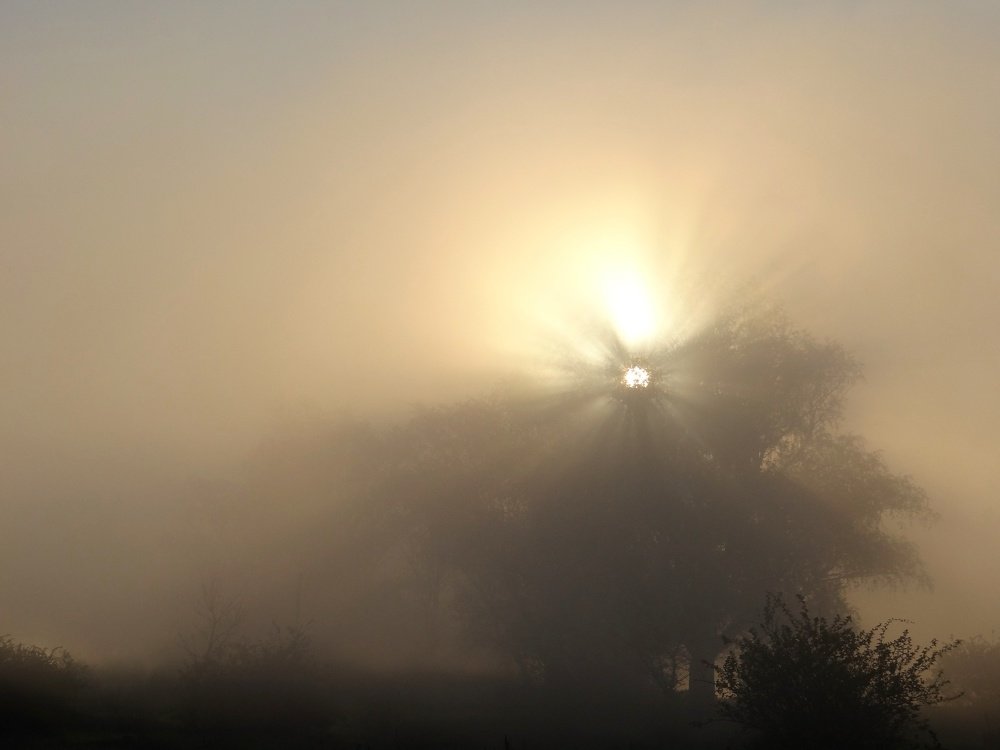 Photograph by Константин Шишкалов