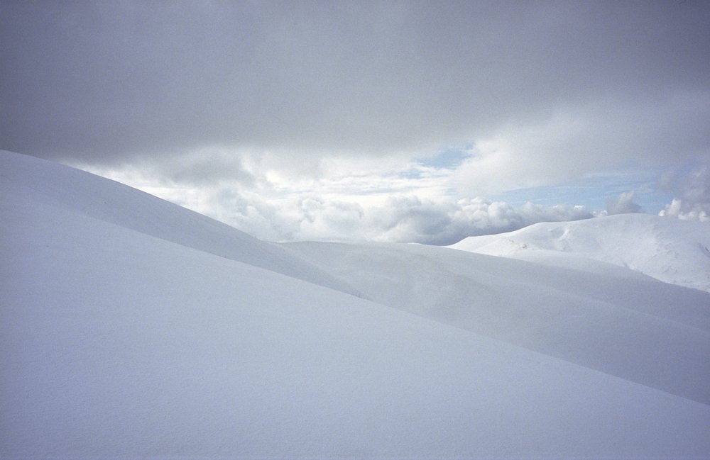Photo #4816769
