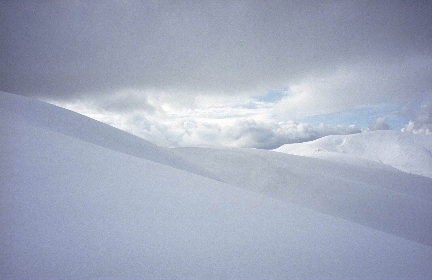 Photo #4816769