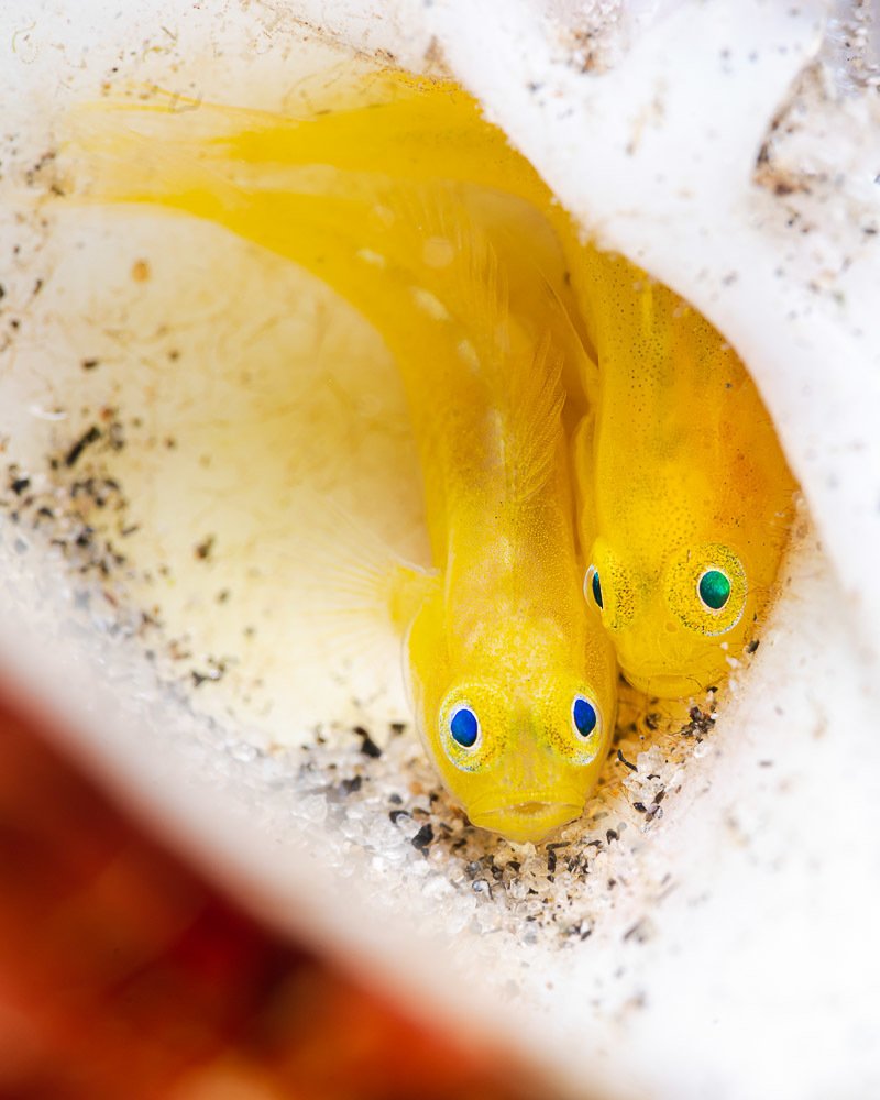 Photograph by Андрей Савин