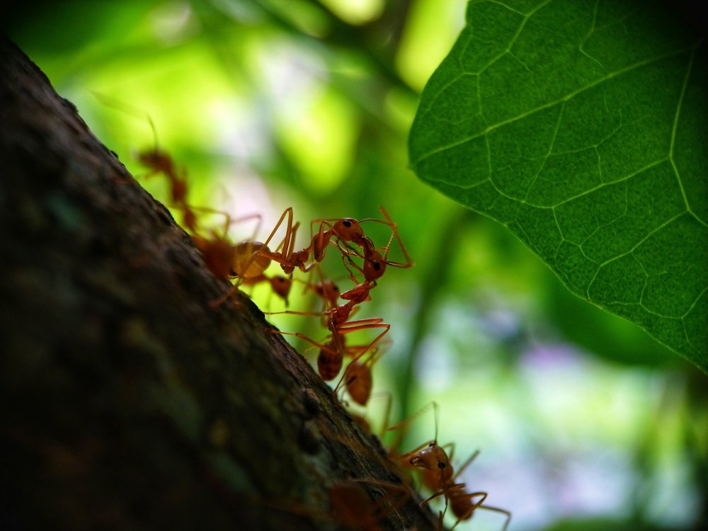 Photograph by Jan Llaguno