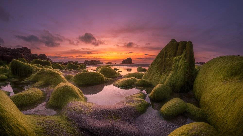 Photograph by Damian Varela