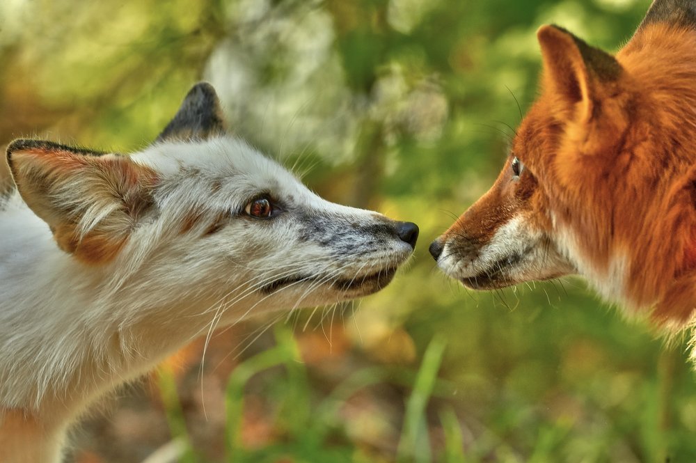 Знакомство
