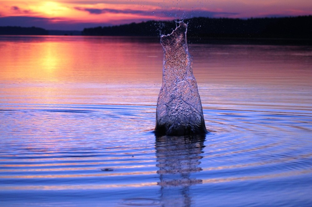 Photograph by Валентина