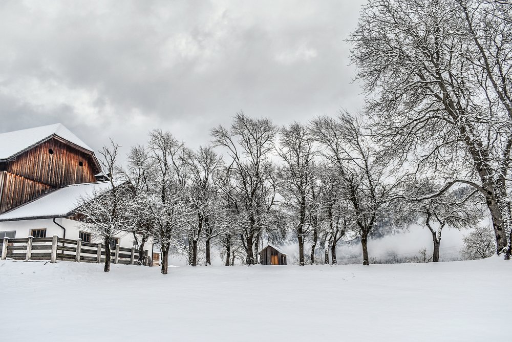 Photograph by Lila Frenopoulou