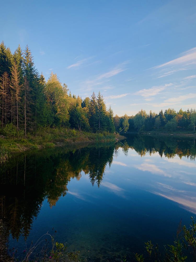 Photograph by Ольга Могдалёва