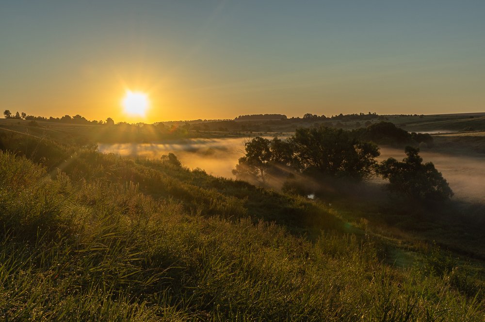 Photograph by Pavel Gusev