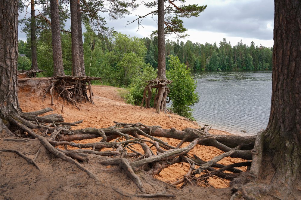 Photograph by Евгений Гаркуша