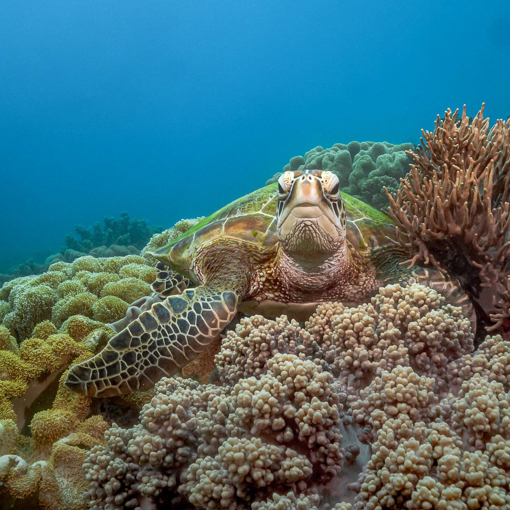 Photograph by Андрей Савин