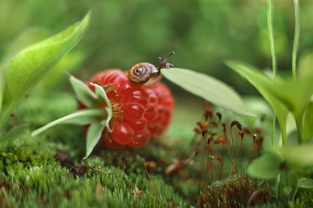 Photograph by Екатерина Глебова