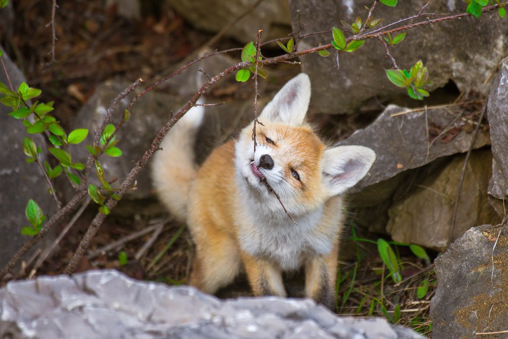 Photograph by Евгений Бочкарев