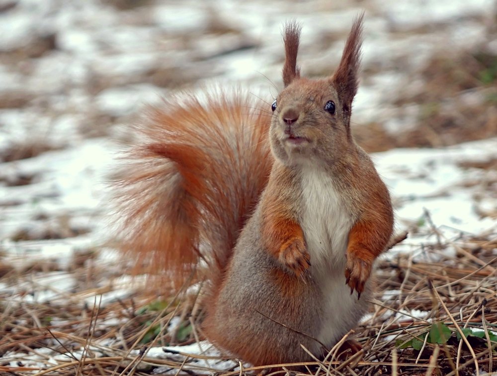 Фотография автора Валентина Гундарева