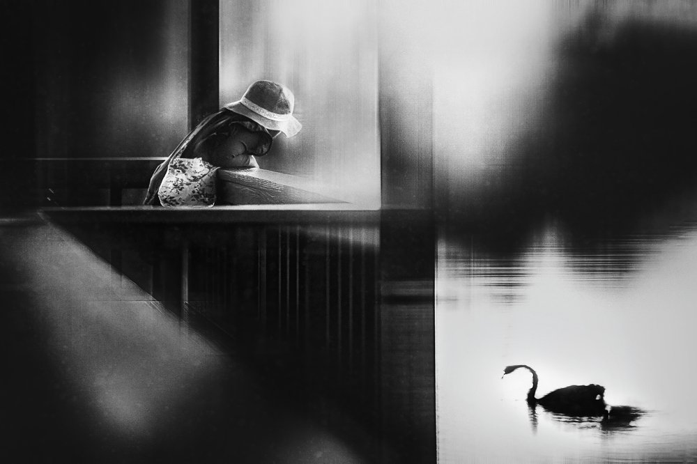 Photograph by Despird Zhang