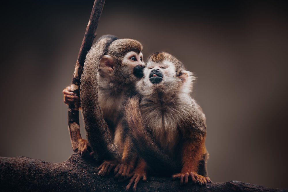 Photograph by Шихалеева 