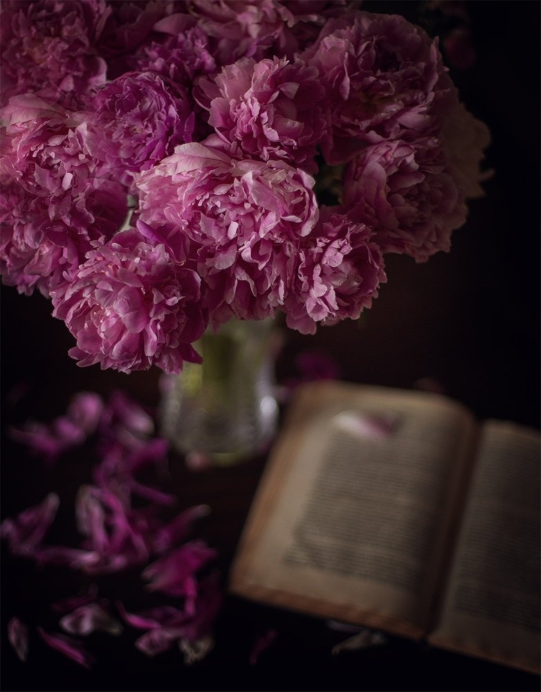 Photograph by Ольга Белоусова