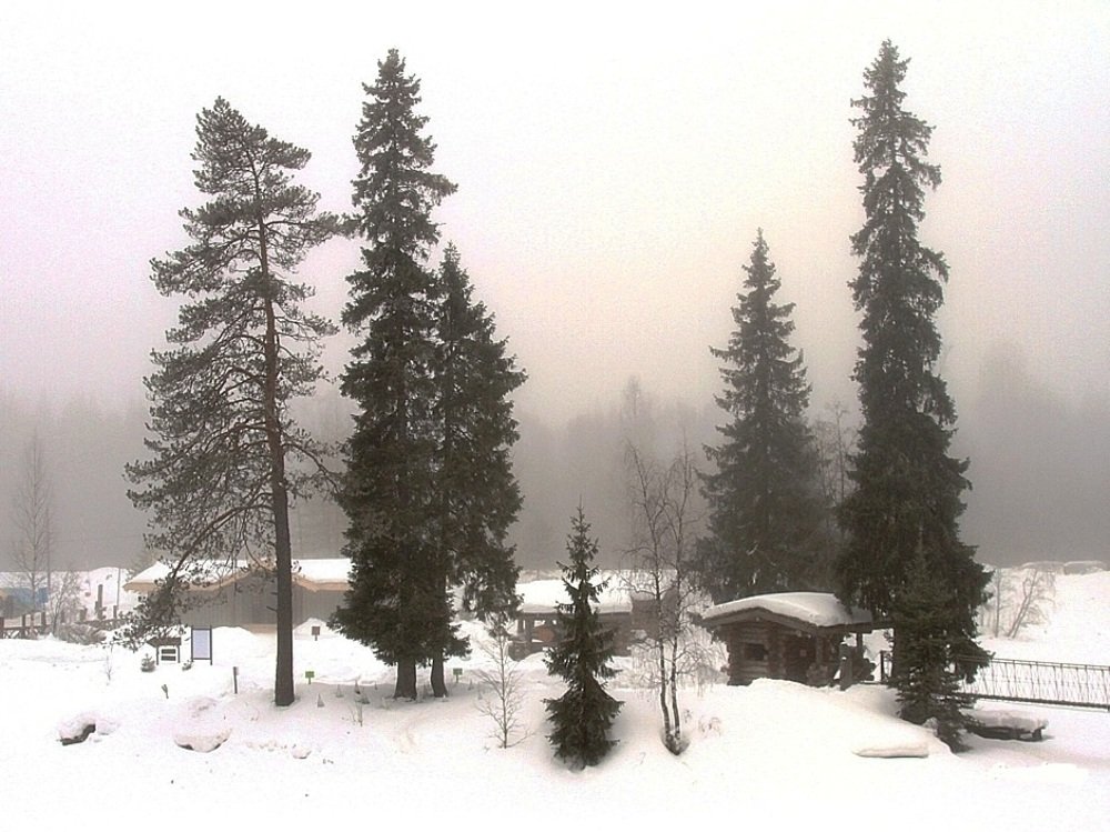 Photograph by Николай Шумилов