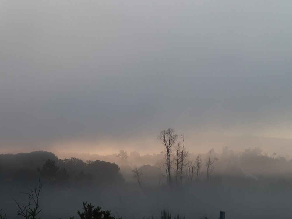 Photograph by José António Garcia Ferreira de Almeida