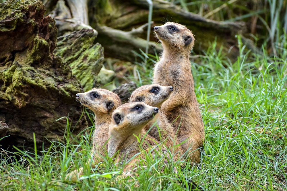 Photograph by Nicholas Ng