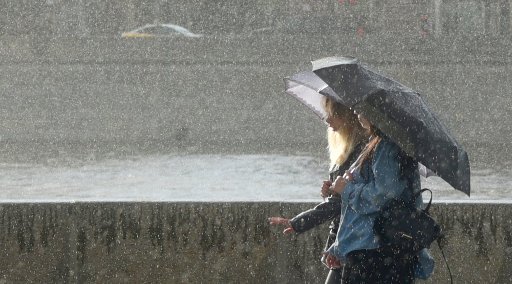 ЛЕТНИЙ ДОЖДЬ