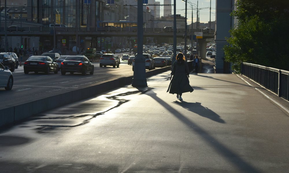 ЛЕГКОКРЫЛИЕ