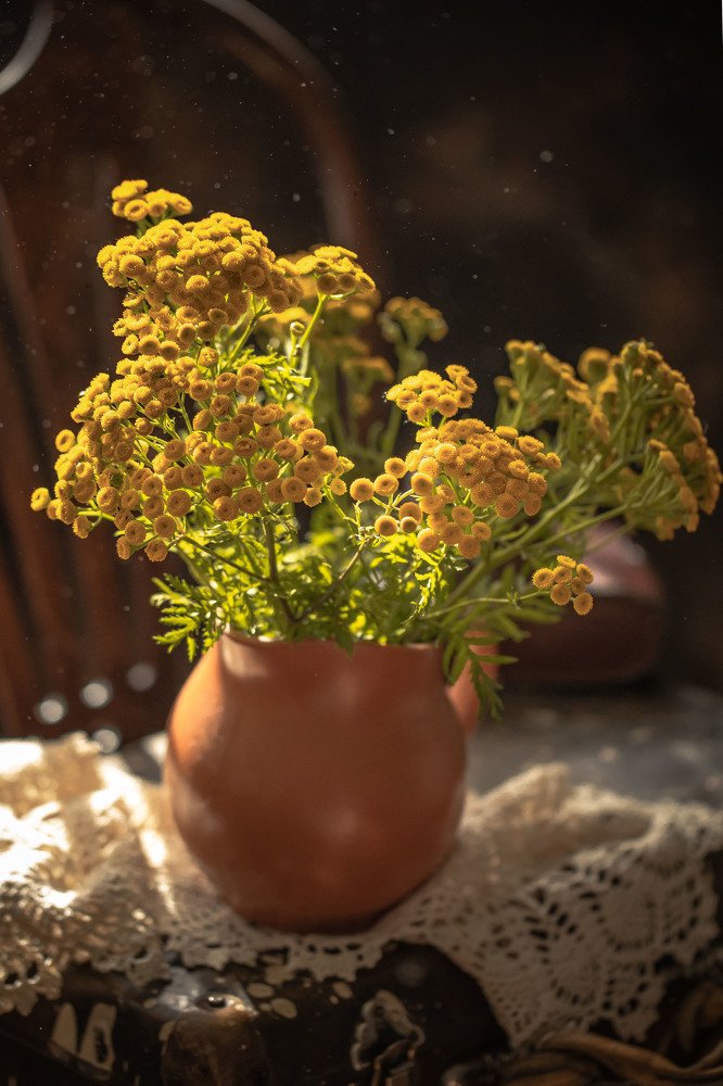 Фотография автора Мария Сурмачева