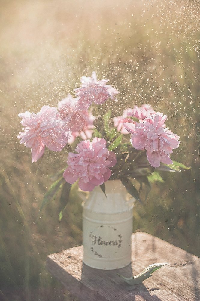 Photograph by Ольга Мурзина