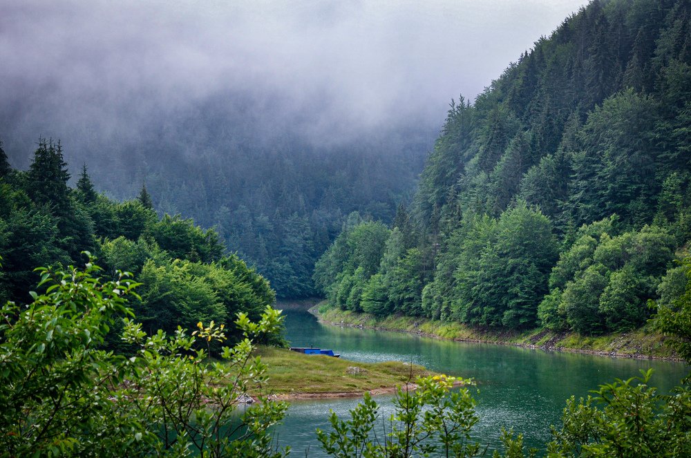 Photograph by Katarina Dimitrijevic