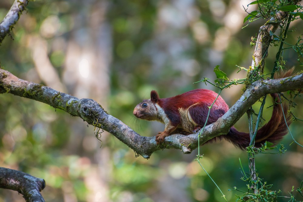 Have some time for yourself, Relax and Enjoy