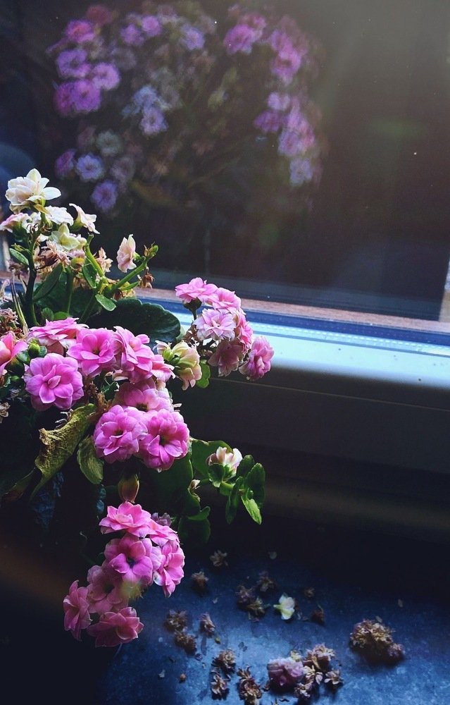 Photograph by Наталья Гайдар