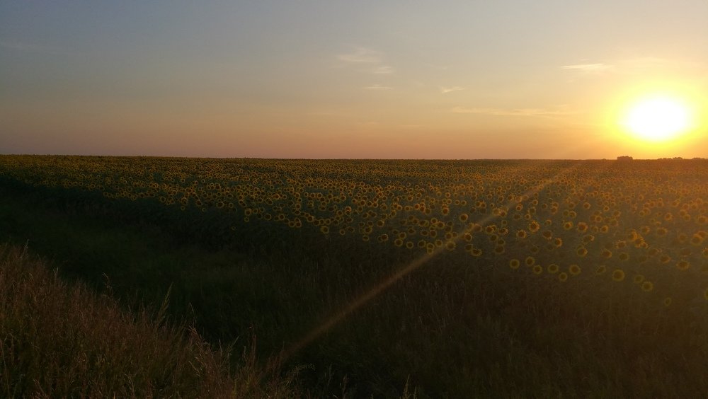 Photograph by Ramil Bakhriraziyev