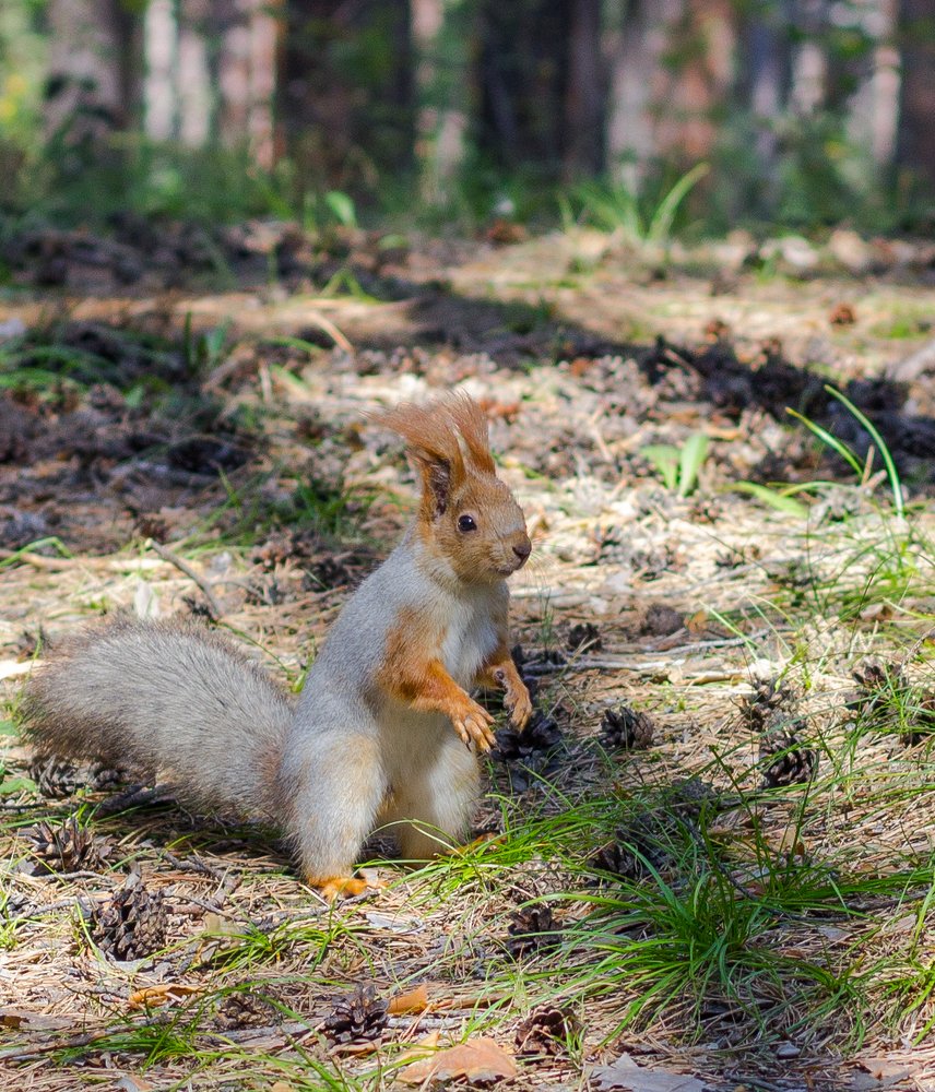 Photograph by Константин Искучеков