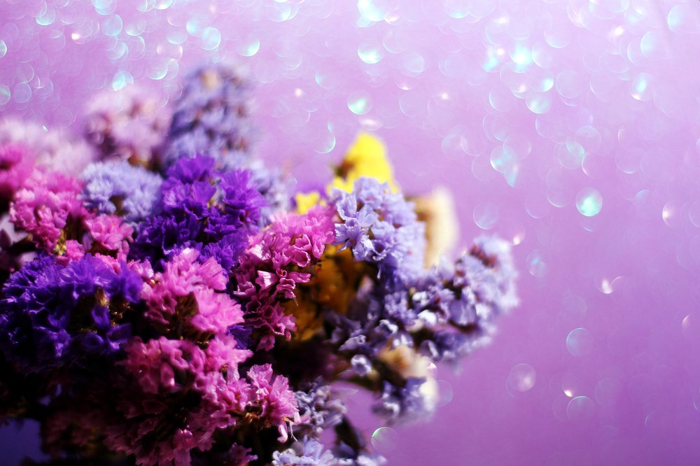 Букет кермека или лимониума на фоне с боке.