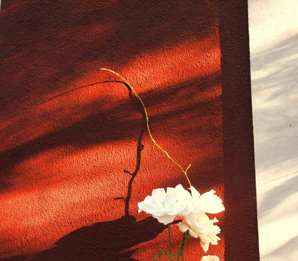 Photograph by Valeria Arcuri