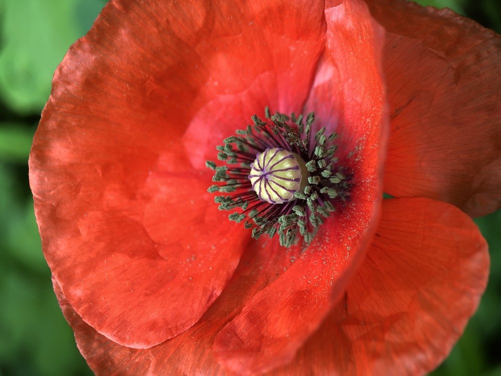 Photograph by людмила жукова