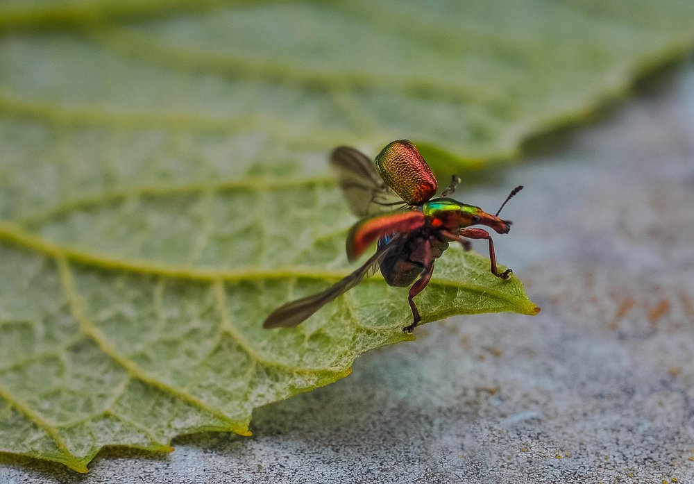 Photograph by Олеся zme