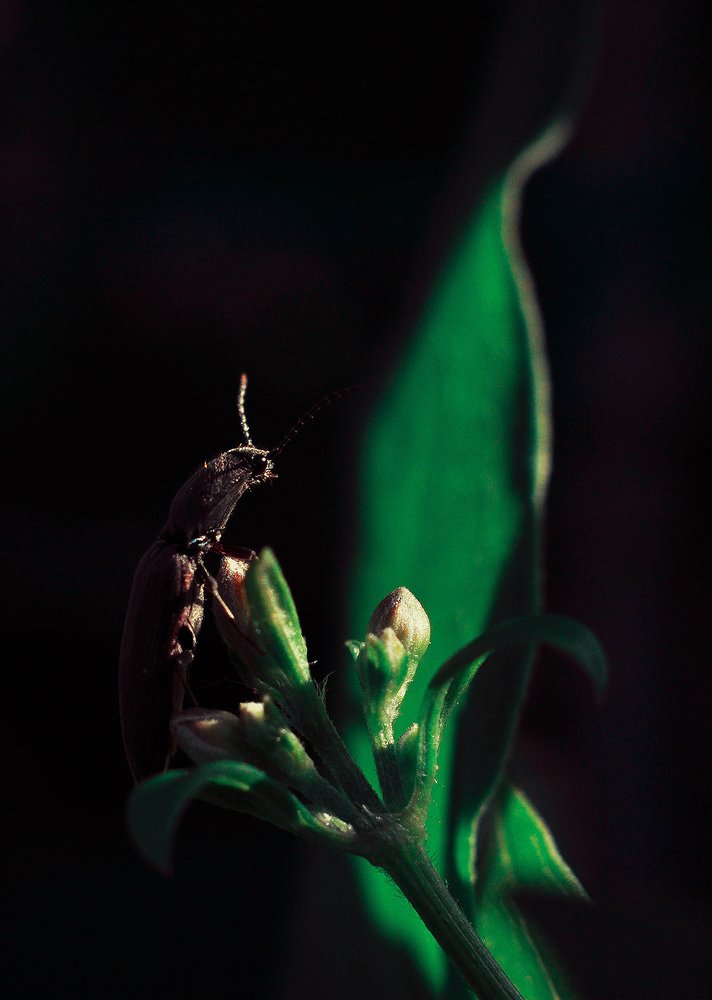 Photograph by Олеся zme