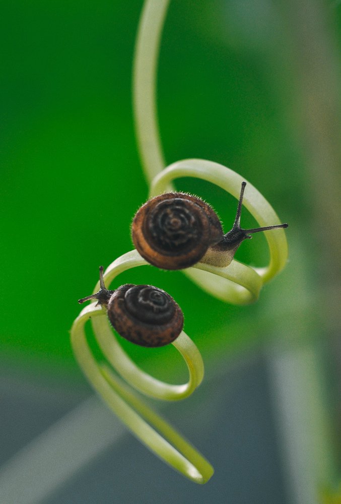 Photograph by Олеся zme