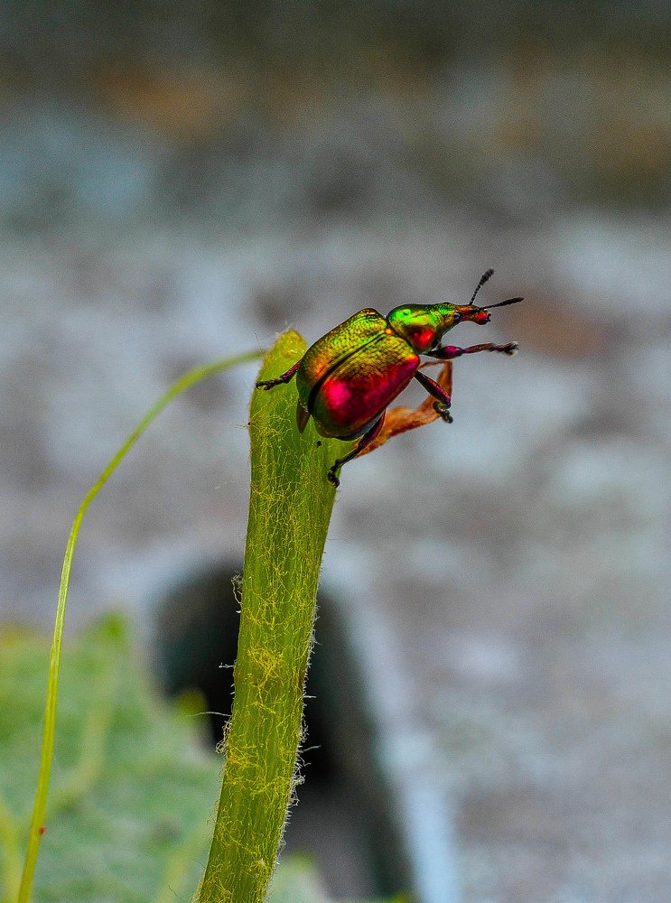 Photograph by Олеся zme