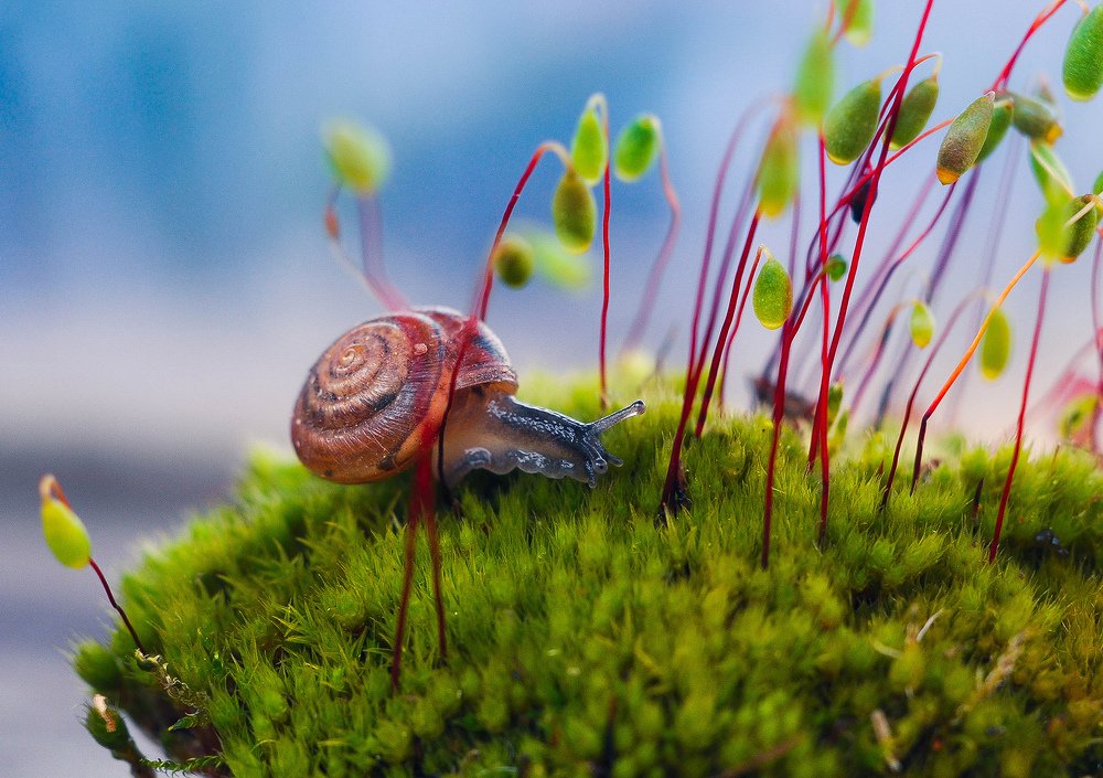 Photograph by Олеся zme