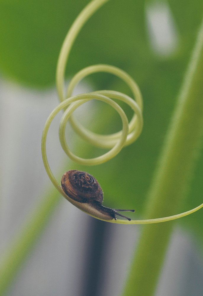 Photograph by Олеся zme