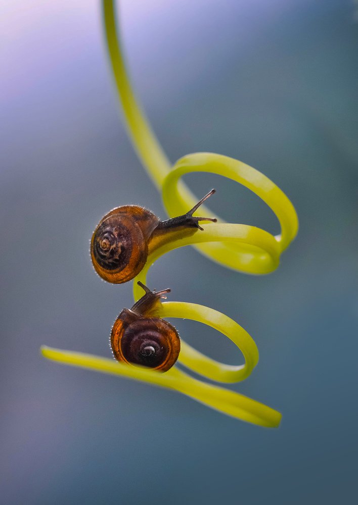 Photograph by Олеся zme