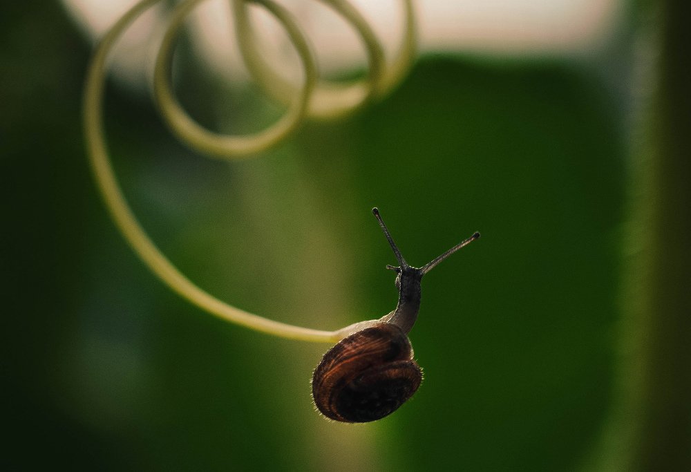 Photograph by Олеся zme