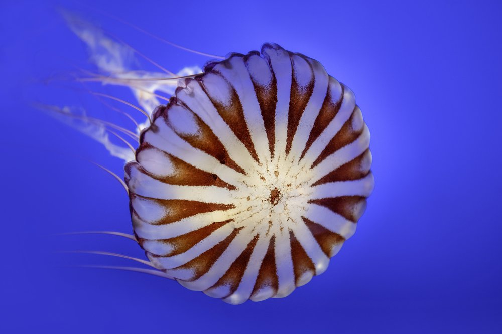 Photograph by HITTHEROAD