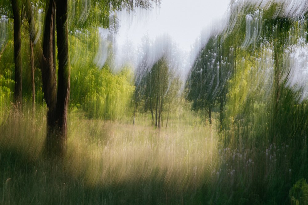 Photograph by Oksana Demyanets