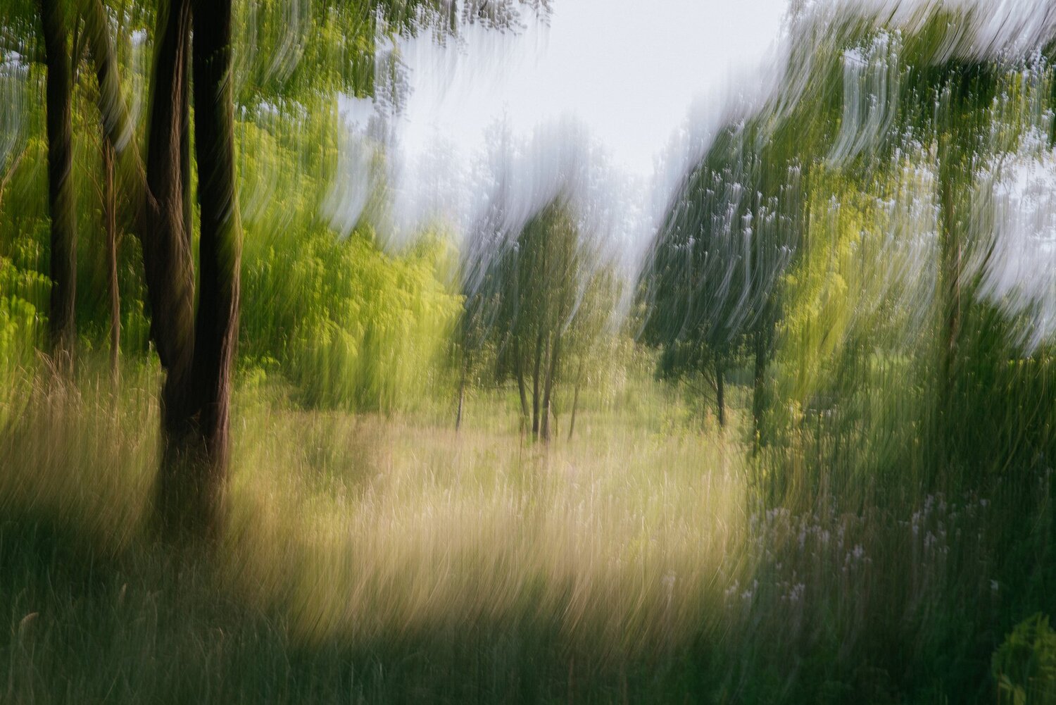 Photo #4817954