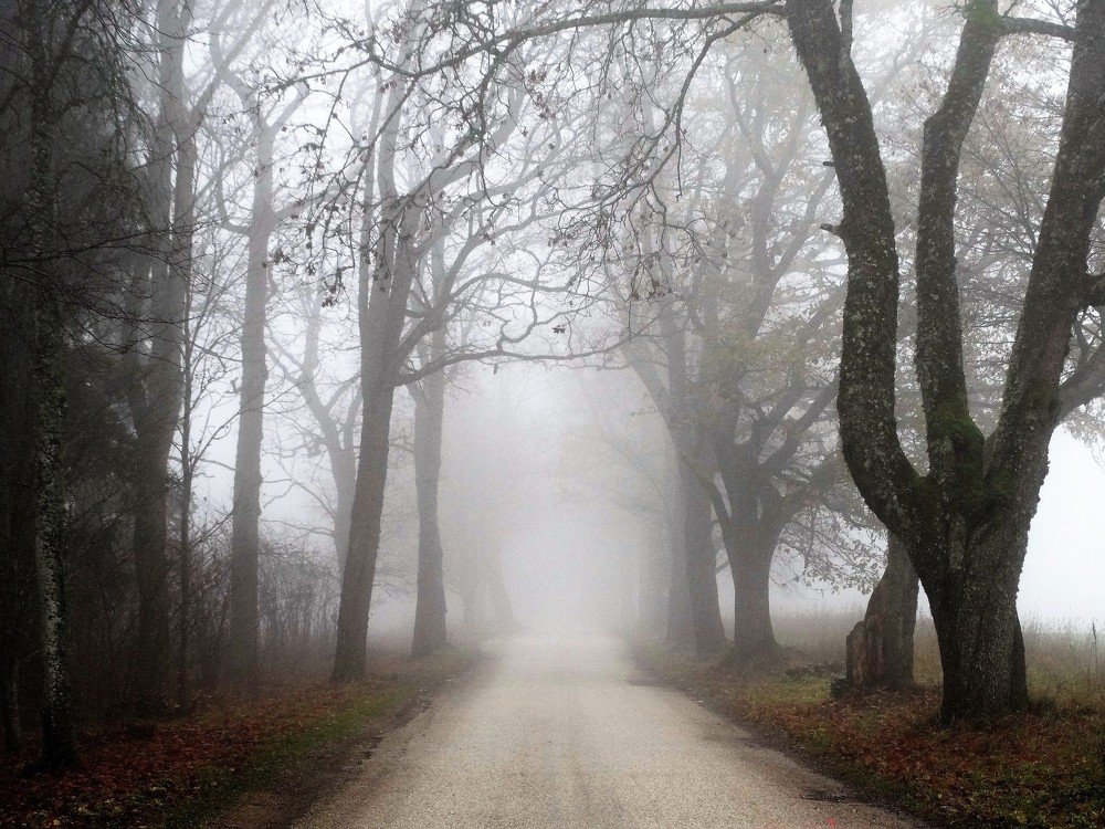 Photograph by ILONA OTRUTSKAYA