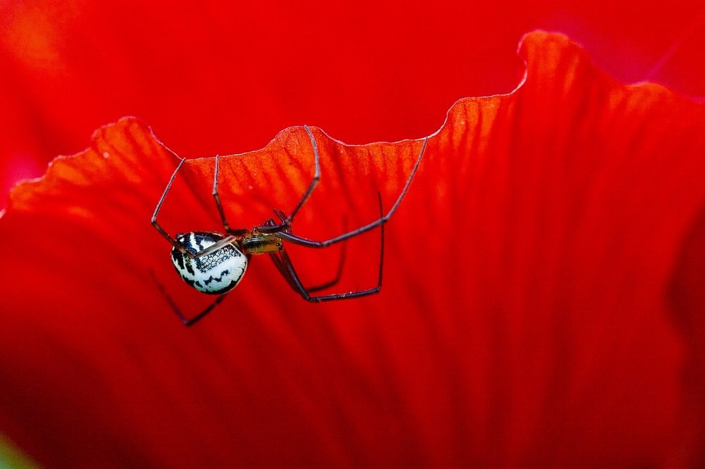 Photograph by Роман Турсков